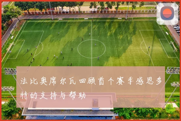 法比奥席尔瓦回顾首个赛季感恩多特的支持与帮助